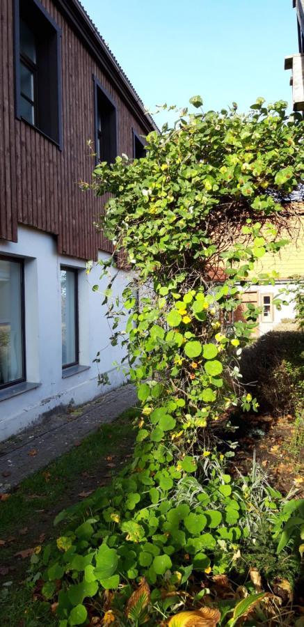 Metras Maja Hotel Aizpute Bagian luar foto